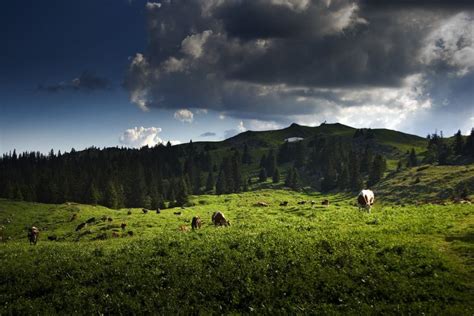 Switzerland hiking trail: 5 hiking suggestions - Forestia