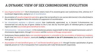 Sex Chromosomes Evolution Pptx