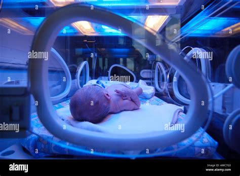 New Born Premature Baby In Incubator Neonatal Intensive Care Unit