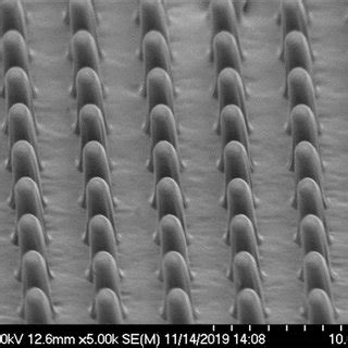 Tilted View SEM Images Of The PDMS Micro Structures Fabricated By Soft