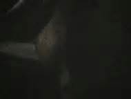 Sarah Lancaster Nude Pics Videos Sex Tape