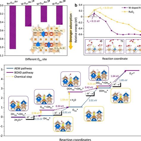 DFT Investigation Of Hydrogen Adsorption On Ru W Binary Oxides A The H