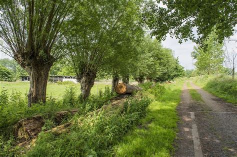 Nen Nielse Oemweg Wandelroute Wandelknooppunt Be