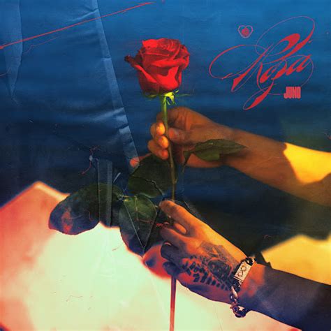 Roza - YouTube Music
