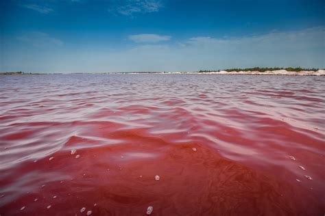 Lake Retba Senegals Pink Lake