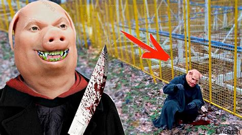 Nikpig Found John Pork In Park 12 Youtube