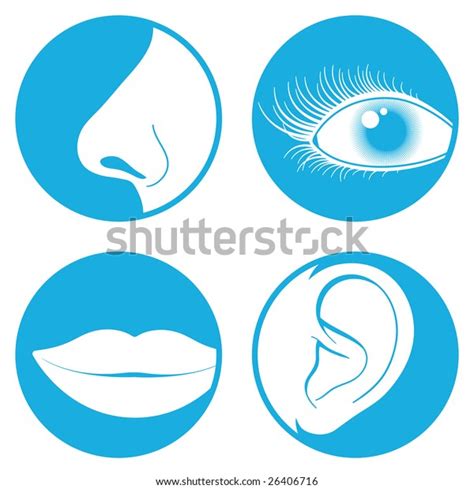 Nose Eye Mouth Ear Pictograms Stock Illustration 26406716 Shutterstock