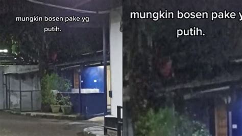 Viral Penampakan Diduga Kuntilanak Merah Di Atas Pohon Bikin Bulu