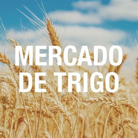 Stream Episode Mercado Brasileiro De Trigo Permanece Travado Saiba