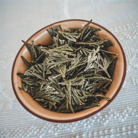 Dried Cedar Leaves Etsy