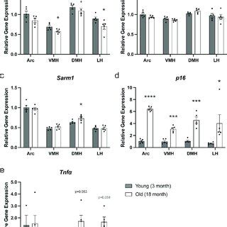 THe MRNA Expression Levels Of DNA Damage Response And Cytokine Genes