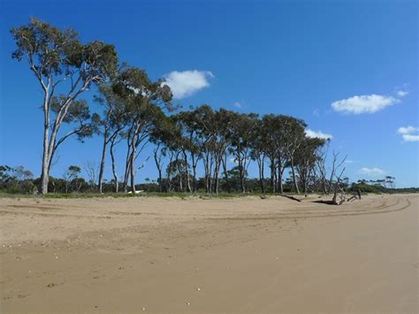 Moore Park Beach Moore Park Beach Towns Localista