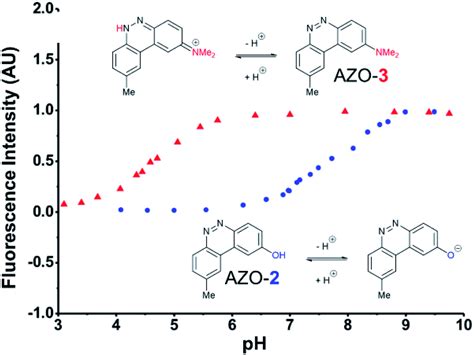 Amino Dialkylaminobiphenyl Based Fluorescent Intracellular Probes