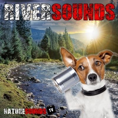 River sounds album from Nature Sounds TV