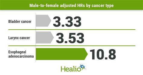 Biological Sex Differences May Explain Why Men Face Higher Cancer Risk Than Women