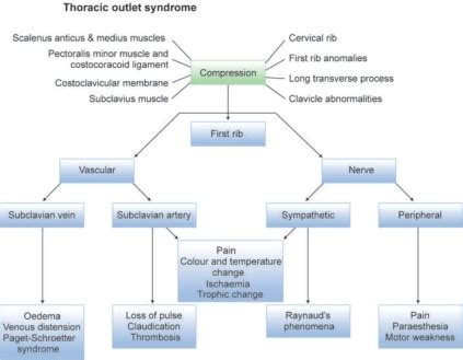 thoracic outlet syndrome differential diagnosis quotes home