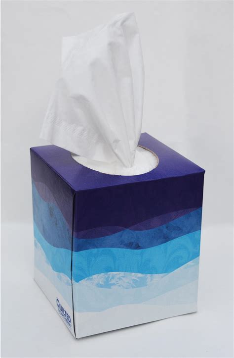 Quilted Northern 3-PLY Ultra Facial Tissue (16 Cube Boxes): Amazon.ca ...