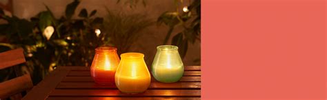 Bolsius True Citronella Maxi Scented Tea Lights Citronella Pack