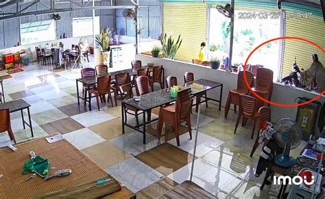 T M Th Y Hot Girl Bella C Ng Xe M Y L Y Nh M C A Ng I D N Voz