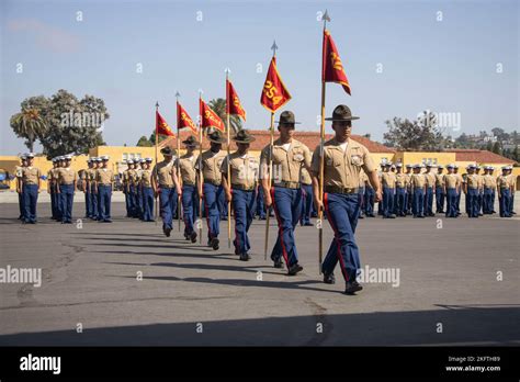 Us Marines Corps Drill Instructors With Lima Company 3rd Recruit
