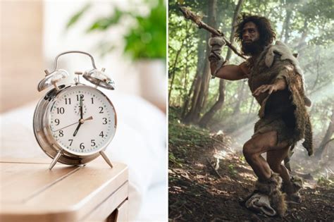 You Might Have Neanderthal Gene As Scientists Reveal Common Morning