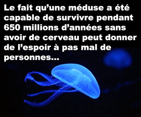 Un Mathématicien apprend que sa blonde a couché avec gars