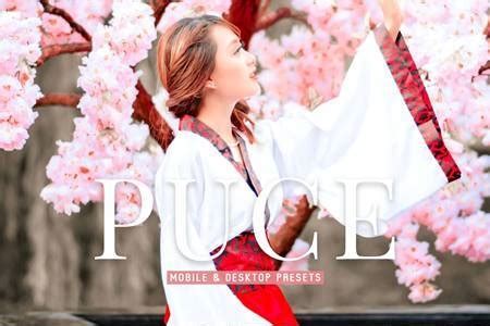 Pearl Nude 5 Lightroom Preset 5154119 FreePSDvn