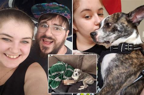 Mum Mortified After Workmen Find Rotting Sex Toy Hidden In Attic Daily Star