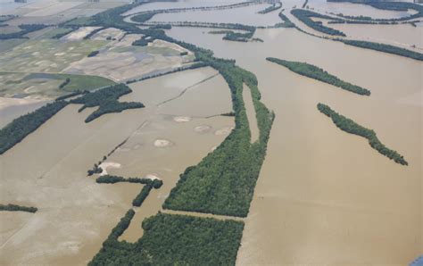 Mississippi River flooding is almost as bad as Great Flood of 1927, in ...