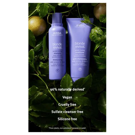 Aveda Blonde Revival Purple Toning Shampoo Aveda Purple Shampoo Adore Beauty