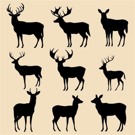 Premium Vector Deer Black Silhouette Set Vector Clip Art