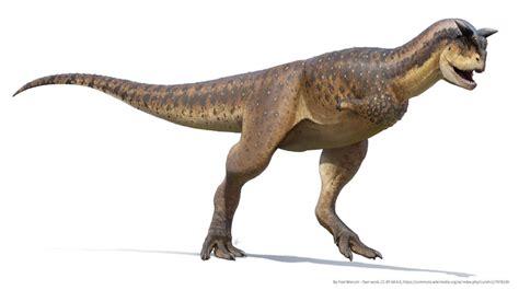 kidzaurus