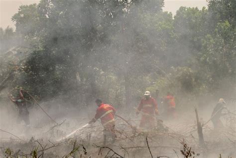 kebakaran hutan  lahan  sumatera republika