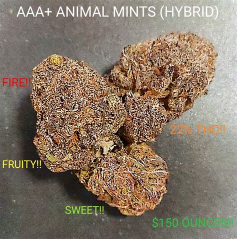 Aaa Animal Mints Weed Delivery North York Buy Cannabis Flowers In