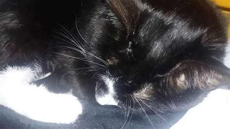 Hot Woman Fucks Men Youtube