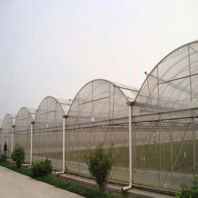 Xinhe Customized Nude Or Carton Single Span Grow Tent Tunnel Greenhouse China Green House And