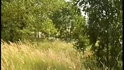 Drncm Classic Group Sex 22 Free Sexest Porn 4d XHamster XHamster