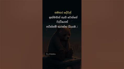 කතාව ඇත්ත නම් කමෙන්ට් එකක් දාමු🥀😥sinhala Wadan Adara Wadan Sinhala