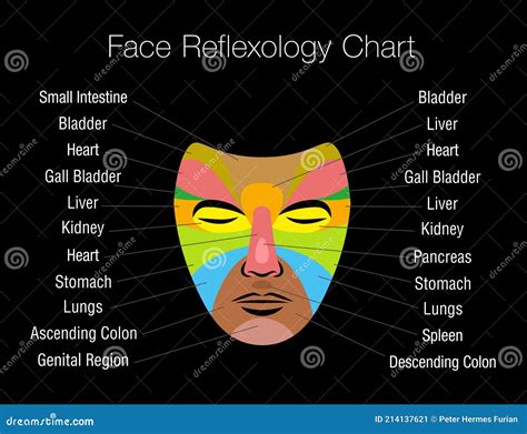 Face Reflexology Chart Internal Organs Mapping Areas Body Parts Black