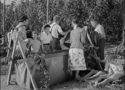 Thehopfields19541080pblurayx264 Ghouls 44 Gb