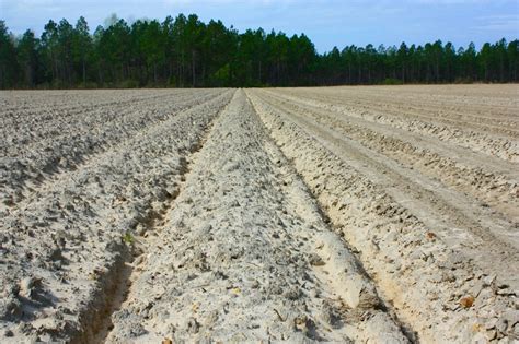 Факторы почвообразования для различных типов почв— основные сведения