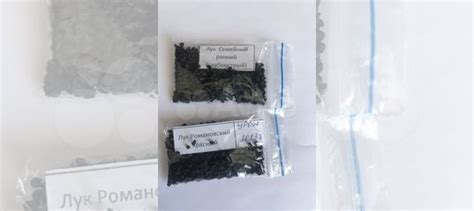 Лук чернушка купить в Ярославле | Товары для дома и дачи | Авито