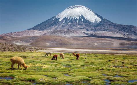 Arica weather and climate in 2026 | Sunheron