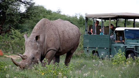 Okonjima En Waterberg Plateau Park Africat Stichting Namibie