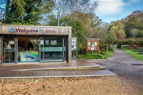 Arne walk - Arne Nature Reserve - Coombe Heath walk - Dorset walks