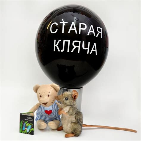 Прикольная Картинка Кляча Старая – Telegraph