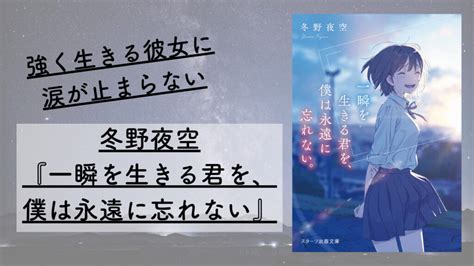 冬野夜空『一瞬を生きる君を、僕は永遠に忘れない』あらすじと感想