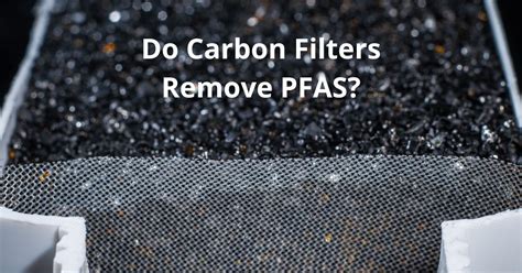 Do Carbon Filters Remove PFAS? | Living Whole