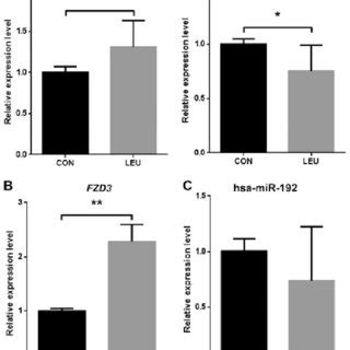 Mirnatarget Gene Regulatory Network Of Acute Myeloid Leukemia