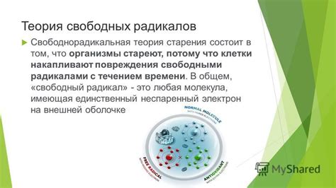 Презентация на тему: "ТЕОРИЯ СТАРЕНИЯ. ВЕДЕНИЕ Старость естественный и ...